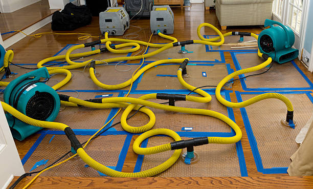 Professional Crawl Space Water Removal technician working in Mecosta, MI